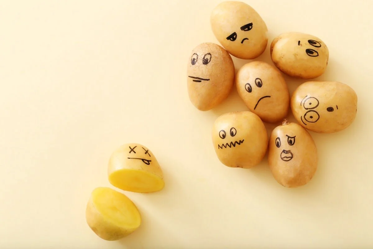 Coaching and Emotional Intelligence