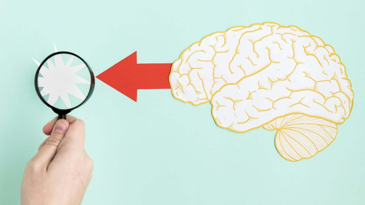 Emotional Intelligence and Personality Development - Emotionale Intelligenz und Persoenlichkeitsentwicklung Emotional Intelligence and Personality Development